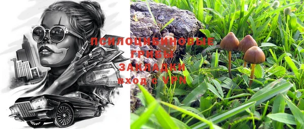mdpv Касимов